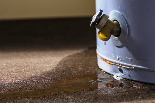 Best Fire Damage Restoration  in Hamtramck, MI