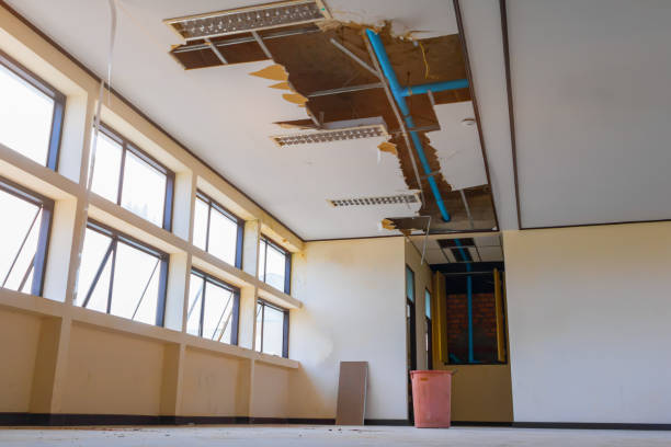  Hamtramck, MI Water damage restoration Pros