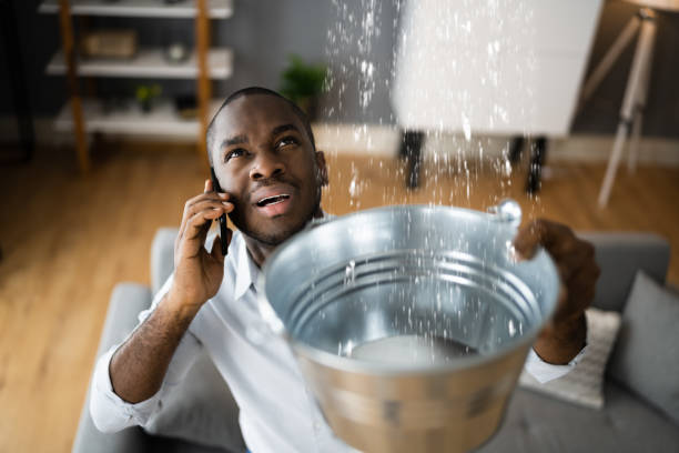 Best Water damage restoration specialists  in Hamtramck, MI