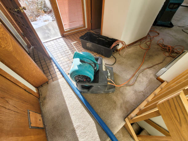 Best Flood restoration services  in Hamtramck, MI