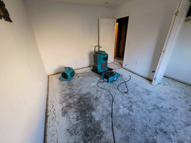 Best Water damage restoration near me  in Hamtramck, MI