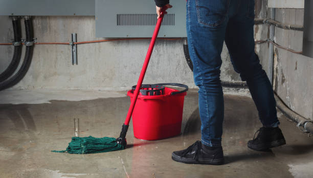 Best Water damage cleanup near me  in Hamtramck, MI