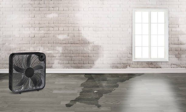 Best Emergency water damage restoration  in Hamtramck, MI