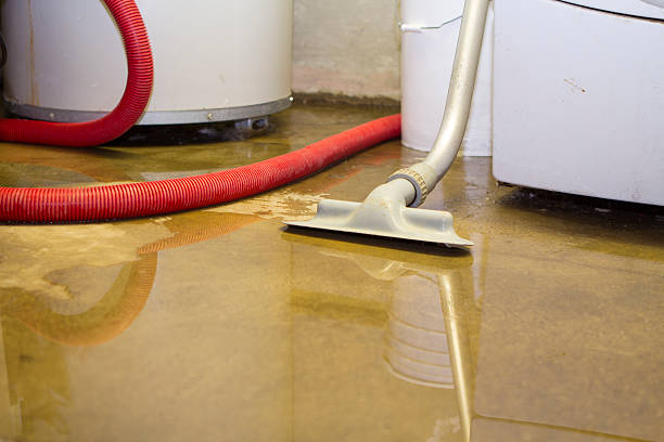 Best Flood damage cleanup  in Hamtramck, MI
