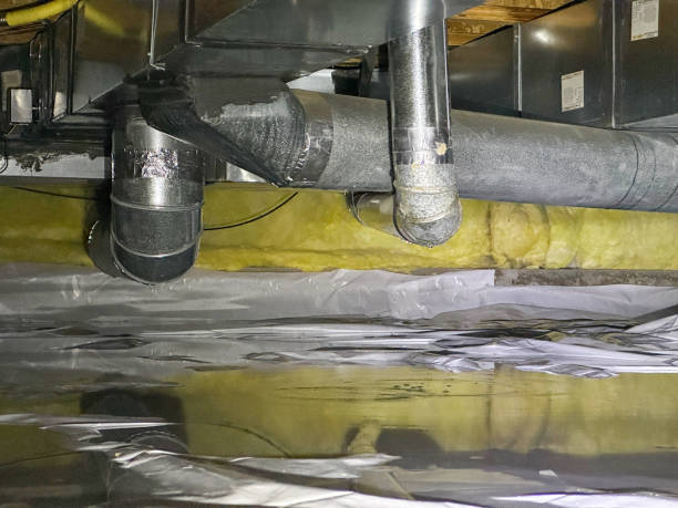 Best 24-hour water damage restoration  in Hamtramck, MI