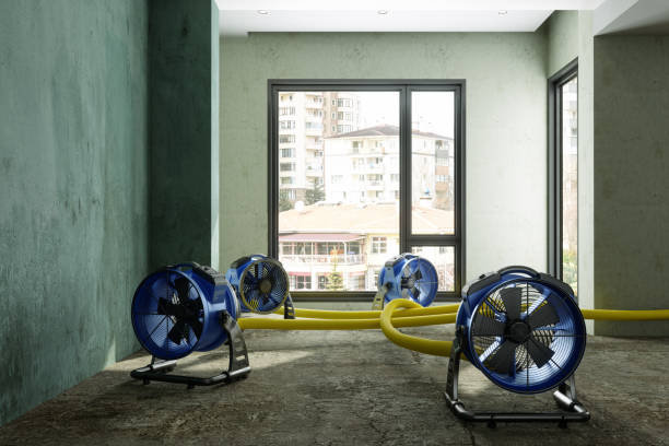 Best Ceiling water damage repair  in Hamtramck, MI