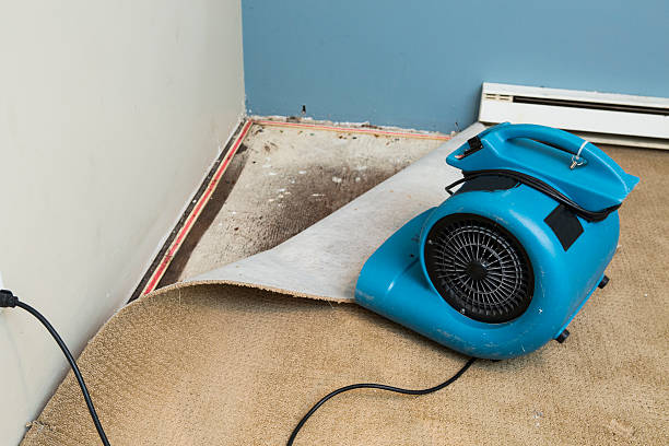 Best Water damage restoration cost  in Hamtramck, MI